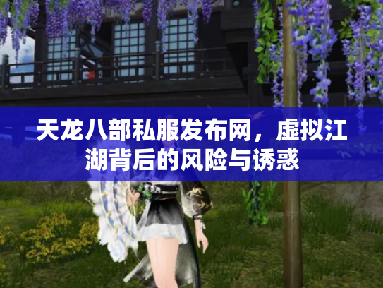 天龙八部私服发布网，虚拟江湖背后的风险与诱惑