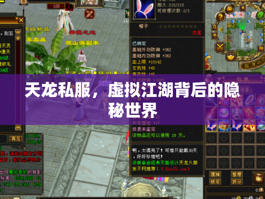 天龙私服，虚拟江湖背后的隐秘世界