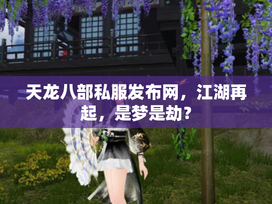 天龙八部私服发布网，江湖再起，是梦是劫？
