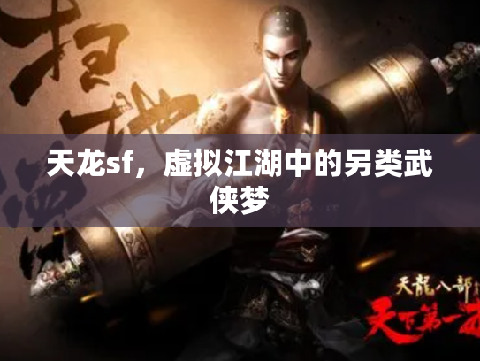 天龙sf，虚拟江湖中的另类武侠梦