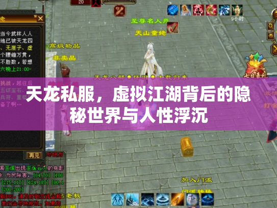 天龙私服，虚拟江湖背后的隐秘世界与人性浮沉