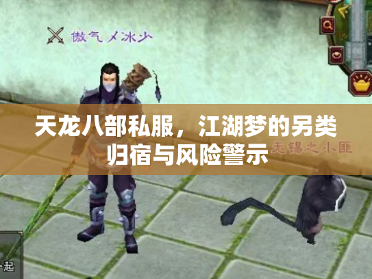 天龙八部私服，江湖梦的另类归宿与风险警示