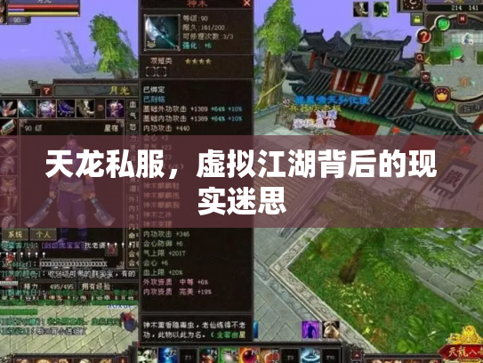 天龙私服，虚拟江湖背后的现实迷思