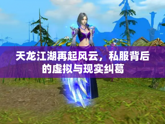 天龙江湖再起风云，私服背后的虚拟与现实纠葛