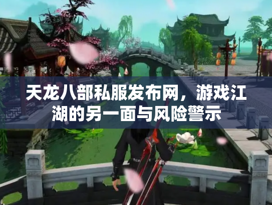 天龙八部私服发布网，游戏江湖的另一面与风险警示