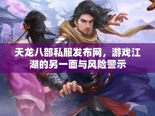 天龙八部私服发布网，游戏江湖的另一面与风险警示