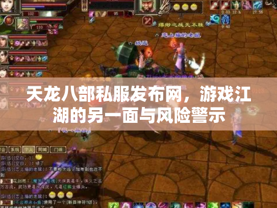 天龙八部私服发布网，游戏江湖的另一面与风险警示