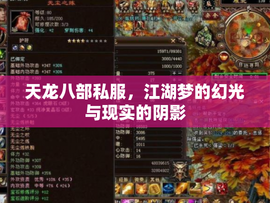 天龙八部私服，江湖梦的幻光与现实的阴影