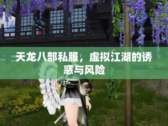 天龙八部私服，虚拟江湖的诱惑与风险