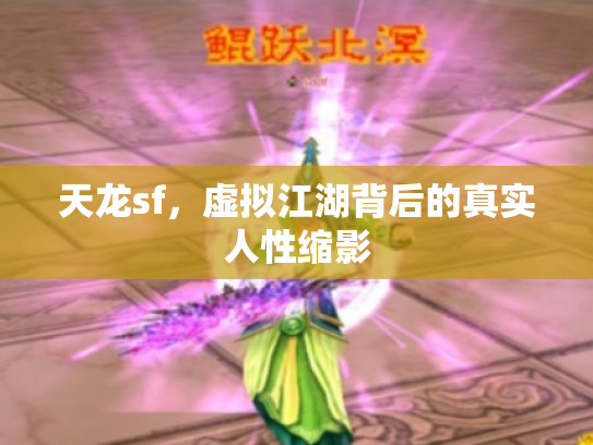 天龙sf，虚拟江湖背后的真实人性缩影