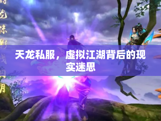 天龙私服，虚拟江湖背后的现实迷思