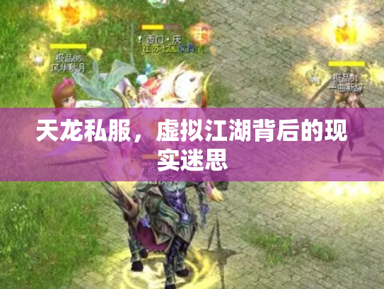 天龙私服，虚拟江湖背后的现实迷思