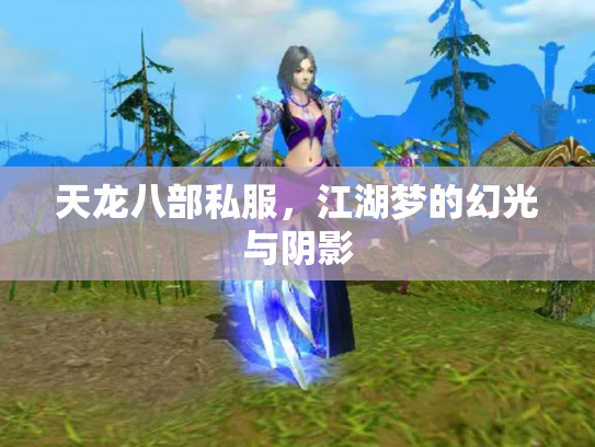 天龙八部私服，江湖梦的幻光与阴影