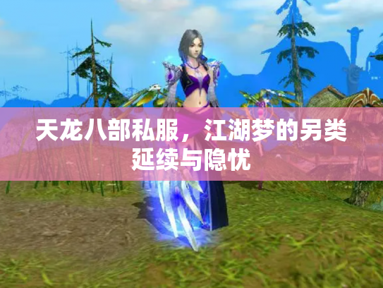 天龙八部私服，江湖梦的另类延续与隐忧