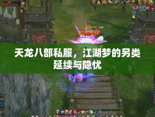 天龙八部私服，江湖梦的另类延续与隐忧