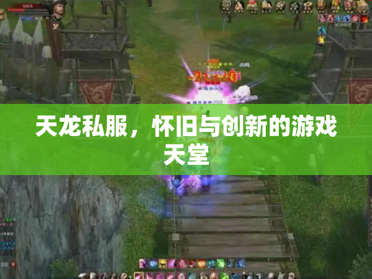 天龙私服，怀旧与创新的游戏天堂