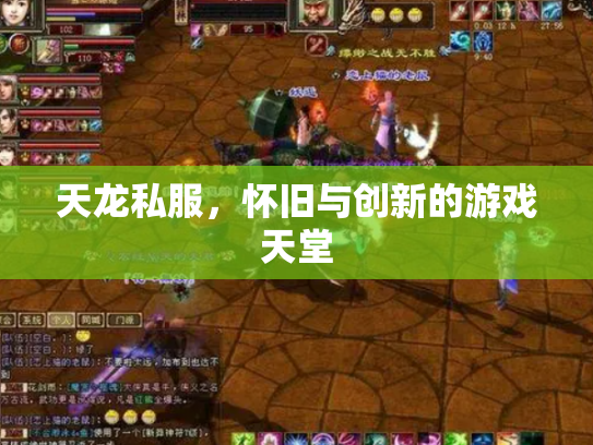 天龙私服，怀旧与创新的游戏天堂