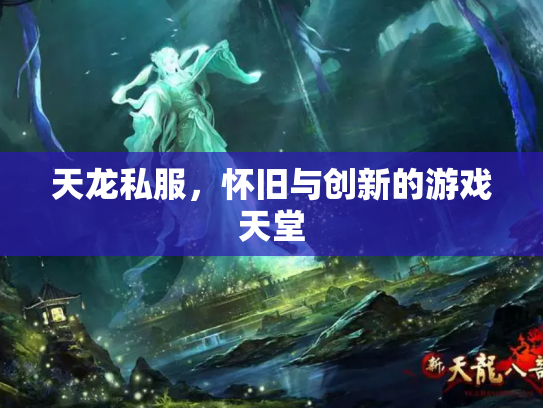 天龙私服，怀旧与创新的游戏天堂