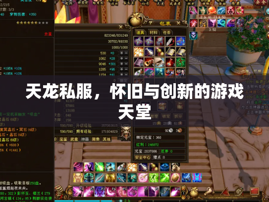 天龙私服，怀旧与创新的游戏天堂