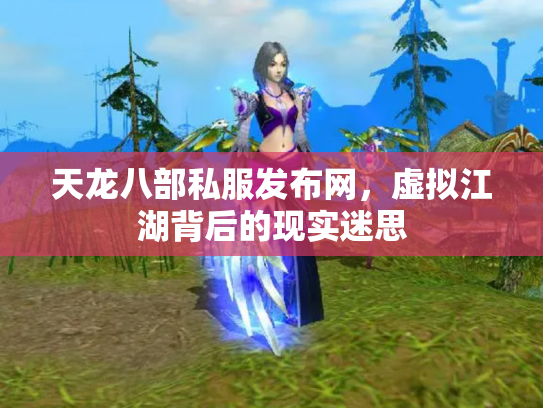 天龙八部私服发布网，虚拟江湖背后的现实迷思