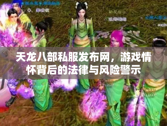天龙八部私服发布网，游戏情怀背后的法律与风险警示