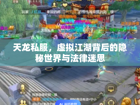 天龙私服，虚拟江湖背后的隐秘世界与法律迷思