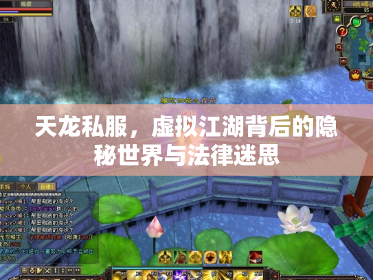 天龙私服，虚拟江湖背后的隐秘世界与法律迷思