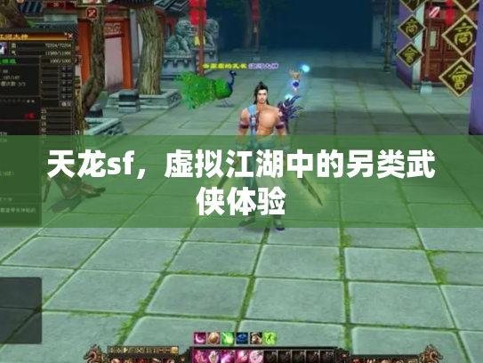 天龙sf，虚拟江湖中的另类武侠体验