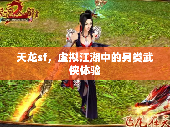 天龙sf，虚拟江湖中的另类武侠体验
