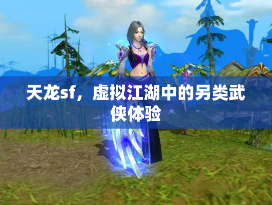 天龙sf，虚拟江湖中的另类武侠体验