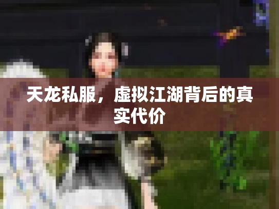 天龙私服，虚拟江湖背后的真实代价