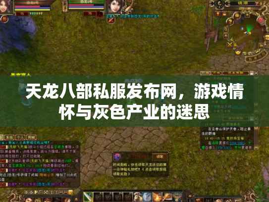 天龙八部私服发布网，游戏情怀与灰色产业的迷思