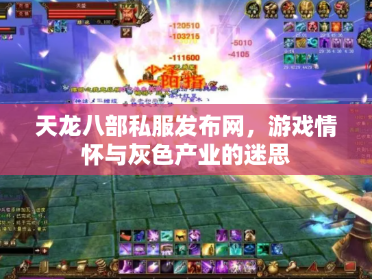 天龙八部私服发布网，游戏情怀与灰色产业的迷思