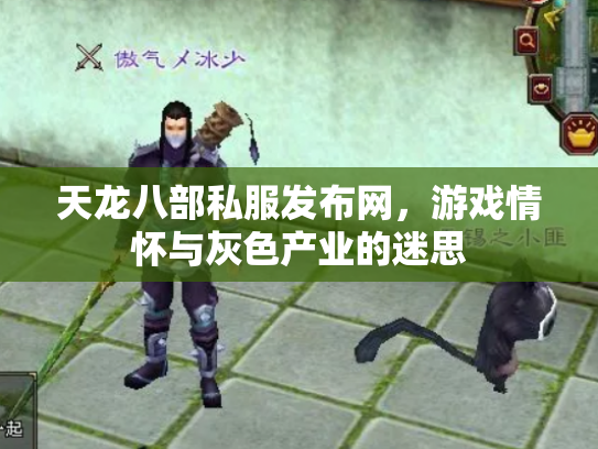 天龙八部私服发布网，游戏情怀与灰色产业的迷思