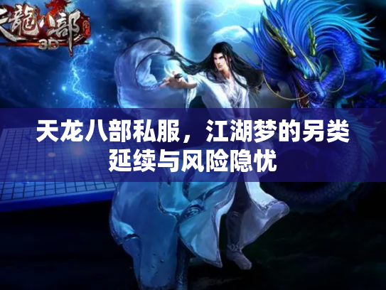 天龙八部私服，江湖梦的另类延续与风险隐忧