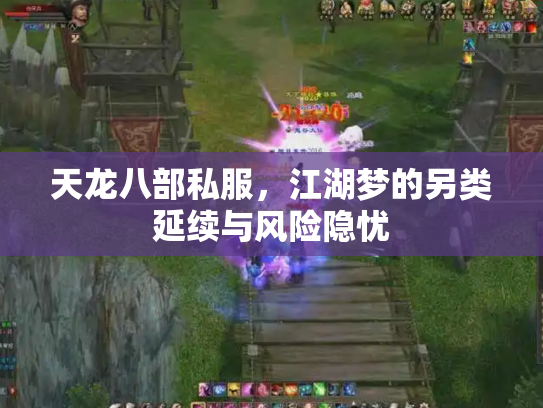 天龙八部私服，江湖梦的另类延续与风险隐忧