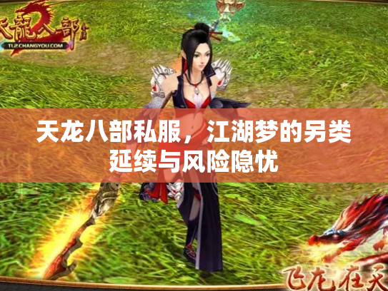 天龙八部私服，江湖梦的另类延续与风险隐忧