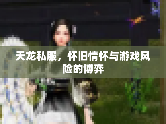 天龙私服，怀旧情怀与游戏风险的博弈