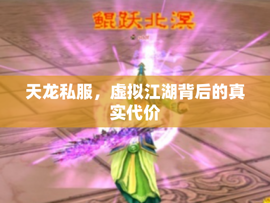 天龙私服，虚拟江湖背后的真实代价