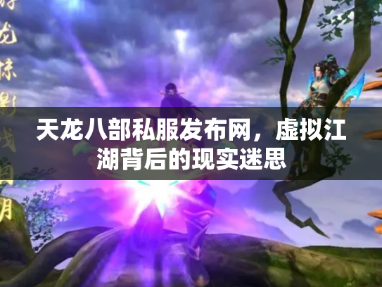 天龙八部私服发布网，虚拟江湖背后的现实迷思