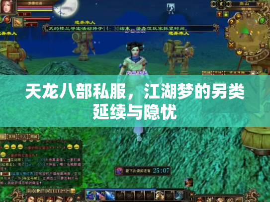 天龙八部私服，江湖梦的另类延续与隐忧