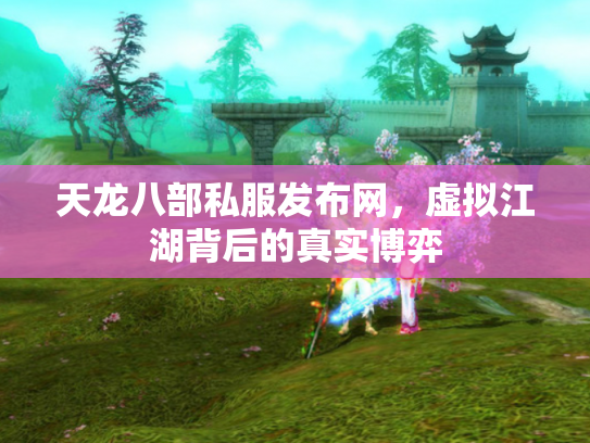 天龙八部私服发布网，虚拟江湖背后的真实博弈