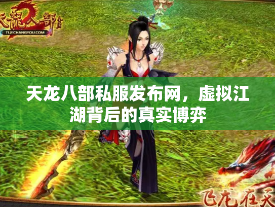 天龙八部私服发布网，虚拟江湖背后的真实博弈