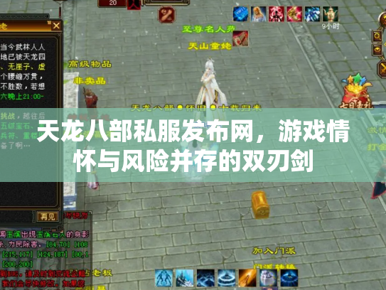 天龙八部私服发布网，游戏情怀与风险并存的双刃剑