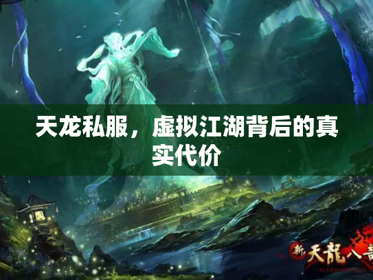 天龙私服，虚拟江湖背后的真实代价