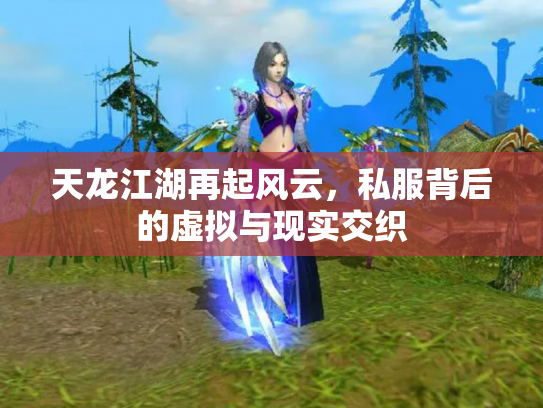 天龙江湖再起风云，私服背后的虚拟与现实交织