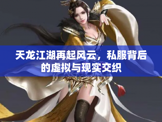 天龙江湖再起风云，私服背后的虚拟与现实交织