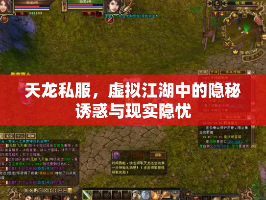 天龙私服，虚拟江湖中的隐秘诱惑与现实隐忧