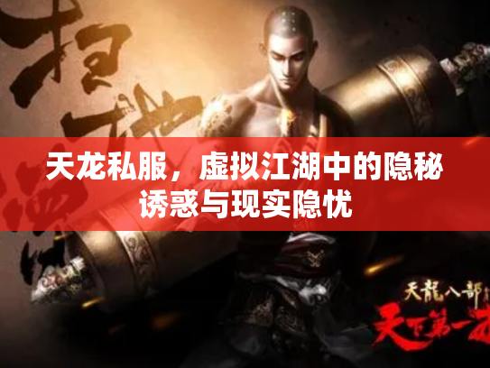 天龙私服，虚拟江湖中的隐秘诱惑与现实隐忧