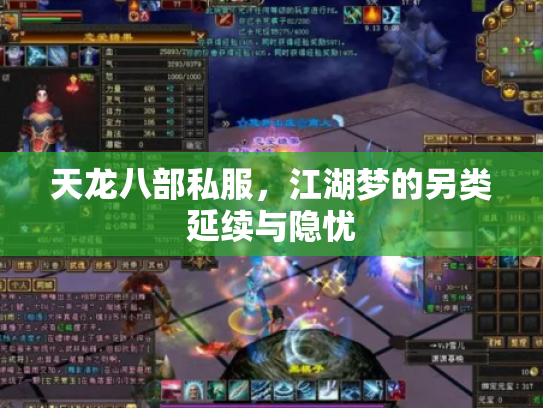 天龙八部私服，江湖梦的另类延续与隐忧